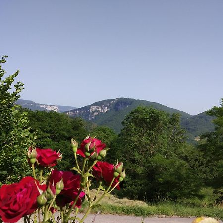 Au Chalet D'Anna Saint-Rambert-en-Bugey Esterno foto